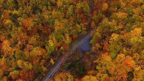 Automobiles move by the highway in the thick wood of red, yellow, orange colors