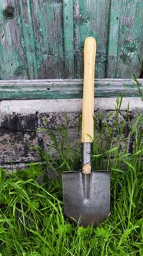 Shovel, stands in the grass next to a wooden fence