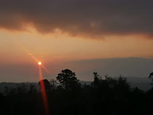 Majestic Sunset Time Lapse in a Wooded Area