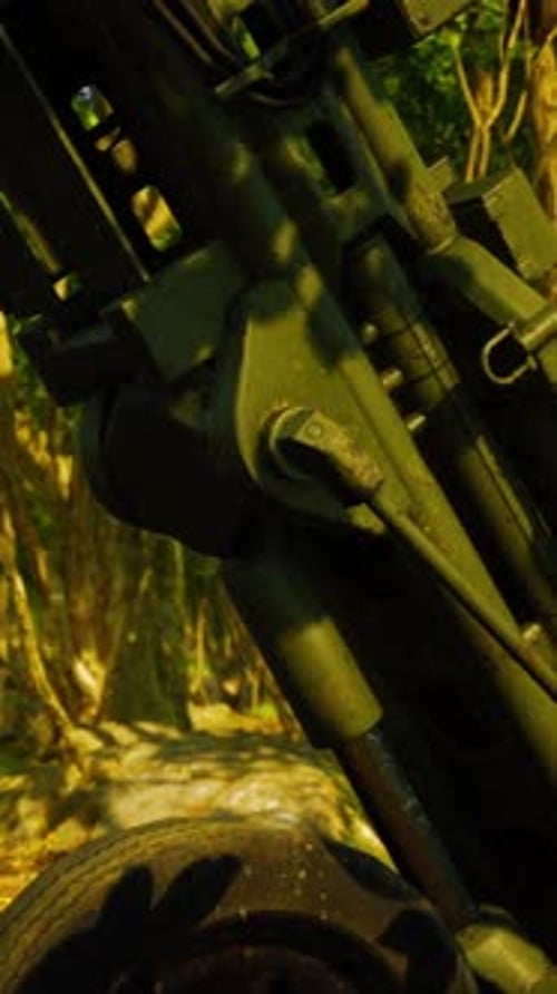 Big Gun Cannon in the Forest