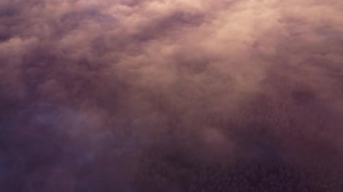 Majestic Aerial View of Snowy Trees Through Clouds
