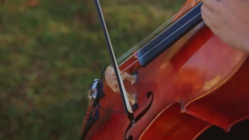 Cello Being Played in Natural Setting