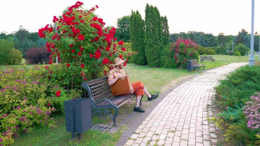 Cover for Pink Painter On The Banch