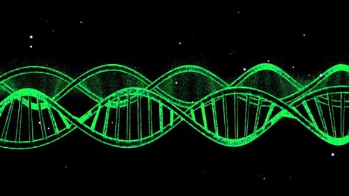 DNA-Animation V2