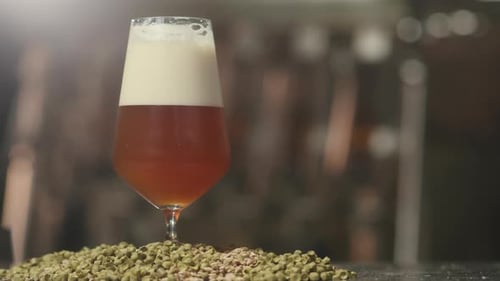 Glass of Freshly Brewed Lager on Table