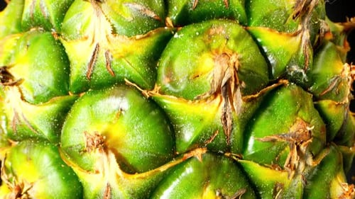 Explore the intricate details of a whole pineapple