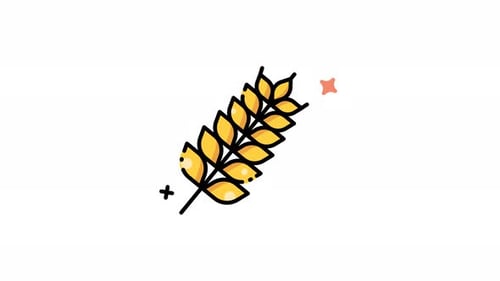 Animated Flat Design Wheat Stalk Icon