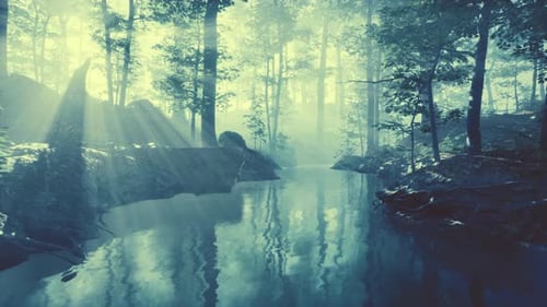 Pond in a Forest with Fog