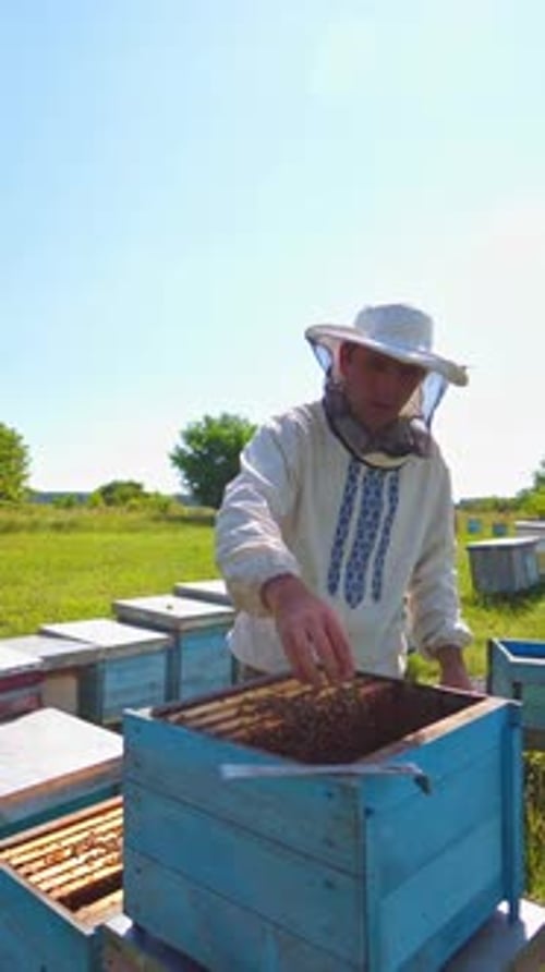 Processo de apicultura ao ar livre. Apicultor masculino trabalhando no jardim com colmeias em um dia brilhante de verão
.