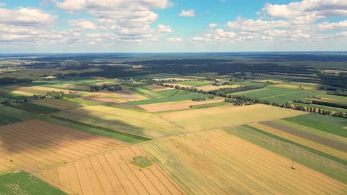 Aerial view with the landscape geometry texture of a lot of agriculture fields with different plants