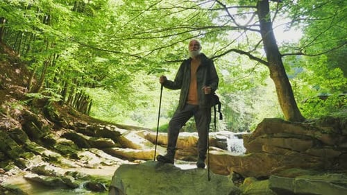 Senior Male Hiker with Backpack, Nordic Walking Poles Standing on a Large Rock