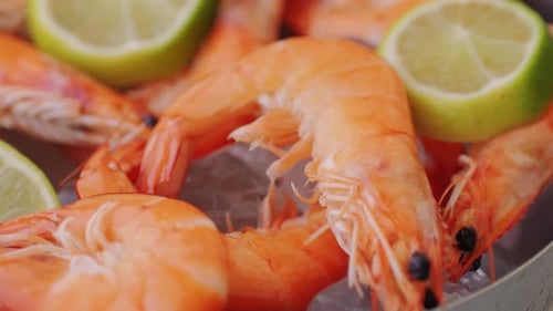 Frozen Shrimp on Ice in Restaurant Seafood on the Counter Fish Market Box with Prawns Shrimp in the