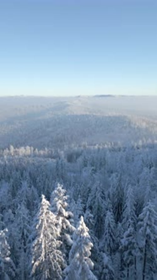 Beautiful Frosty Winter Mountain Forest Landscape From High