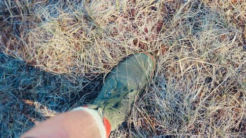 Man's Foot In Hiking Shoe Stepping On Dry Grass On Field. overhead shot