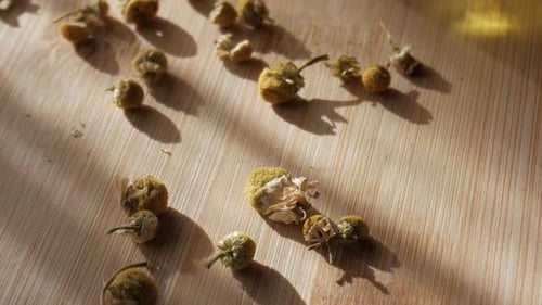 Dried Chamomile Flowers on Wooden Surface in Sunlight