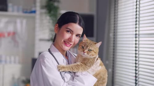 Portrait of beautiful veterinarian woman work in pet office hospital.