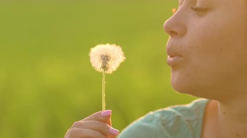 Woman Blowing Dandelion Seeds in Golden Light