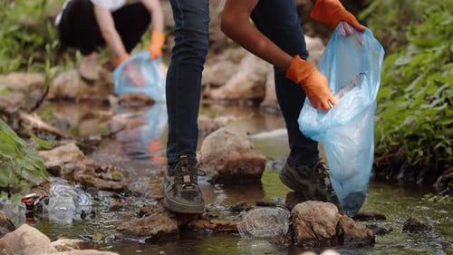 Closeup of a Young Guy Collecting Garbage in a Plastic Bag in Nature From a River a Pond