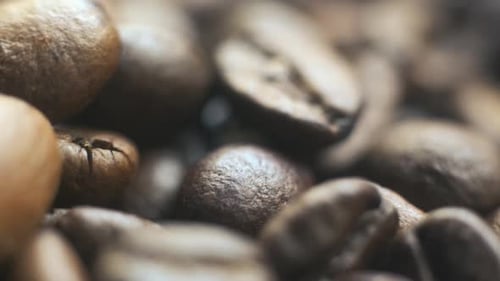 Closeup of roasted coffee beans. Slow motion focus shift over the aromatic ingredient. Macro shot of