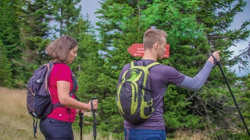 Hiker Couple on Forest Dirt Track Reach a Sign, Make Decision Go Right
