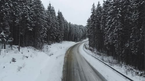 Winter Road Surrounded By Snowy Trees a Car Goes to Meet
