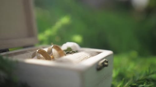 Close shot of a box with two wedding rings opening