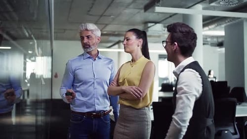 Business team brainstorming ideas together in a modern office slow motion