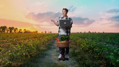 Landwirt mit Gemüsekorb, Laptop und zur Seite zeigend auf dem Feld