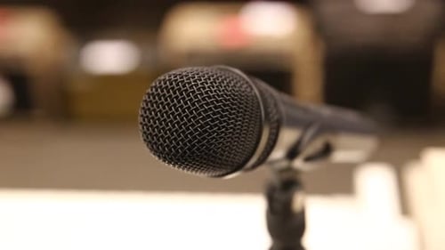 Professional dynamic microphone for song, sideways movement