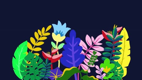 Floral spring cartoon animation with dark blue background