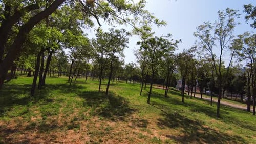 Shooting the Park with Fpv Drone