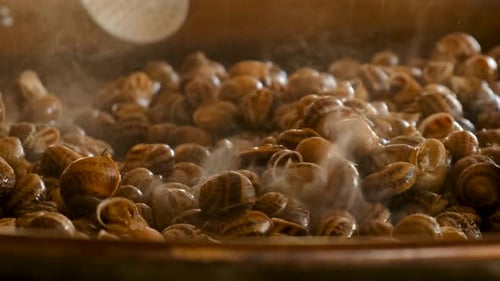 Cook a Lot of Snails in a Frying Pan Selective Focus