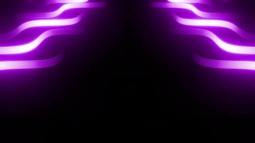 Dynamic purple neon lines flow in seamless motion graphic video