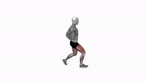 3D Animated Lunge Exercise with Muscle Highlight