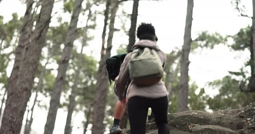 Help, hiking and couple climbing rock in Canada forest for day trekking, adventure and fitness