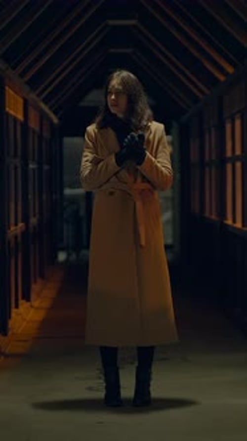 A Mysterious Figure Stands in a Dimly Lit Corridor During the Late Evening Hours