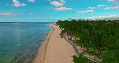 Aerial View of Beach with Palm Trees and Perfect Turquoise Sea Water Relaxing and Exotic Drone View