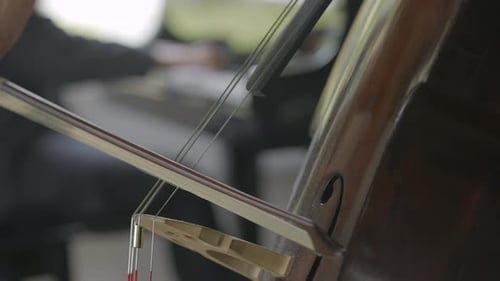 Close Up of Contrabass Being Played