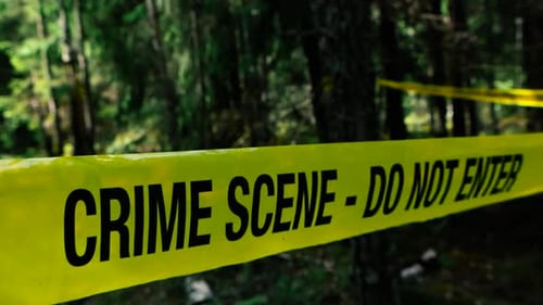 Police Crime scene tape pulled around a forest investigation area during sunny day, dark trees.