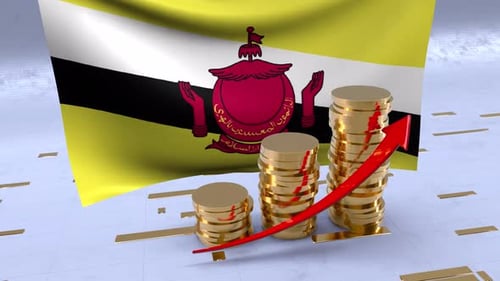 Brunei Flag With Gold Coins Tower And Up Arrow