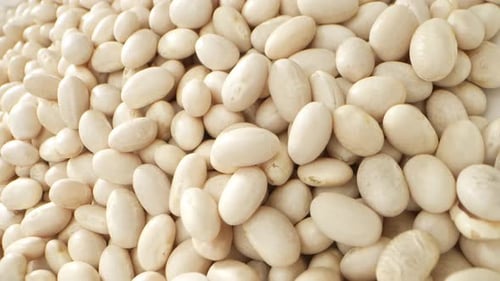 Pile of Fresh White Beans Close-Up