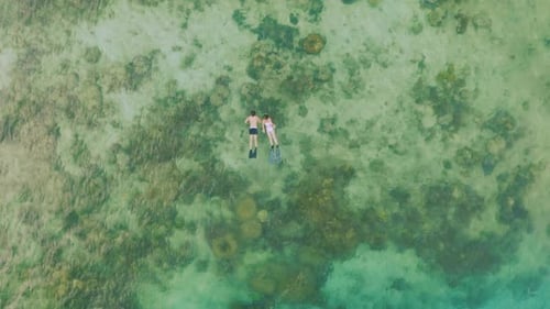 Séquence vidéo 4k d'un couple méconnaissable faisant de la plongée en apnée ensemble dans la mer pendant la journée