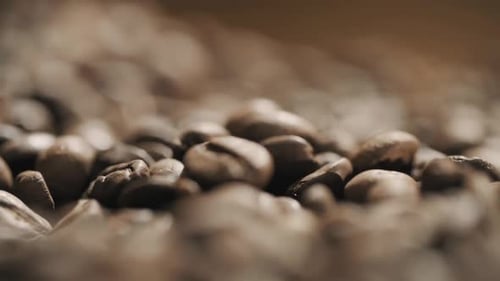 Fragrant Coffee Beans, Roasted Aroma