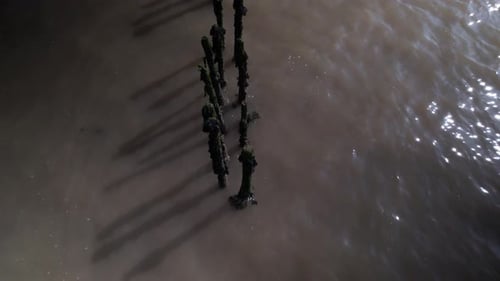 Overhead drone view of posts in sea River blackwater old fish traps