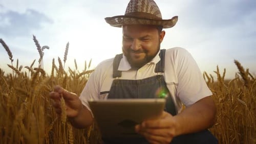 Farmer in Rye Field Modern and Traditional Agriculture Technology Portrait Professional Agronomist