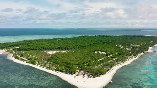 Tropical Island with Sandy Beach