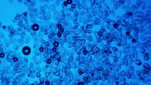 Blue Micro Bubbles and Particles Fluid Motion Background