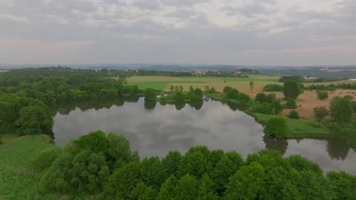 Aerial Cinematic Forward Movement Over a Forest Lake