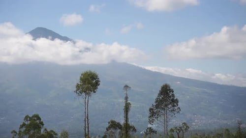 beautiful natural landscape mountains hilly nature panorama, with forest of tall green trees