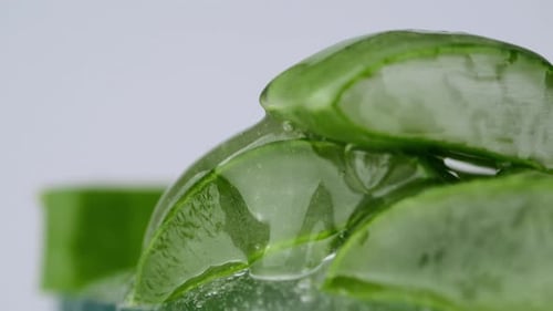 Aloe Vera Gel dripping from aloe leaf close-up.